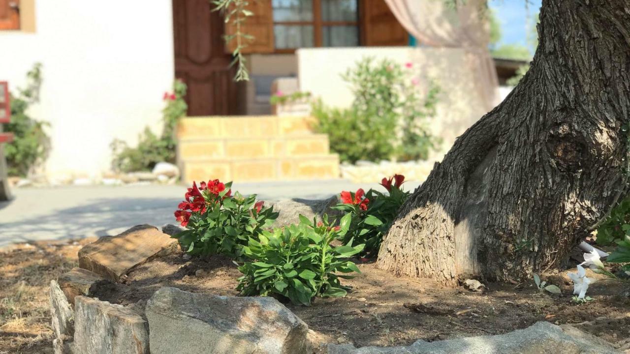 Dream House Villa Alikí Dış mekan fotoğraf