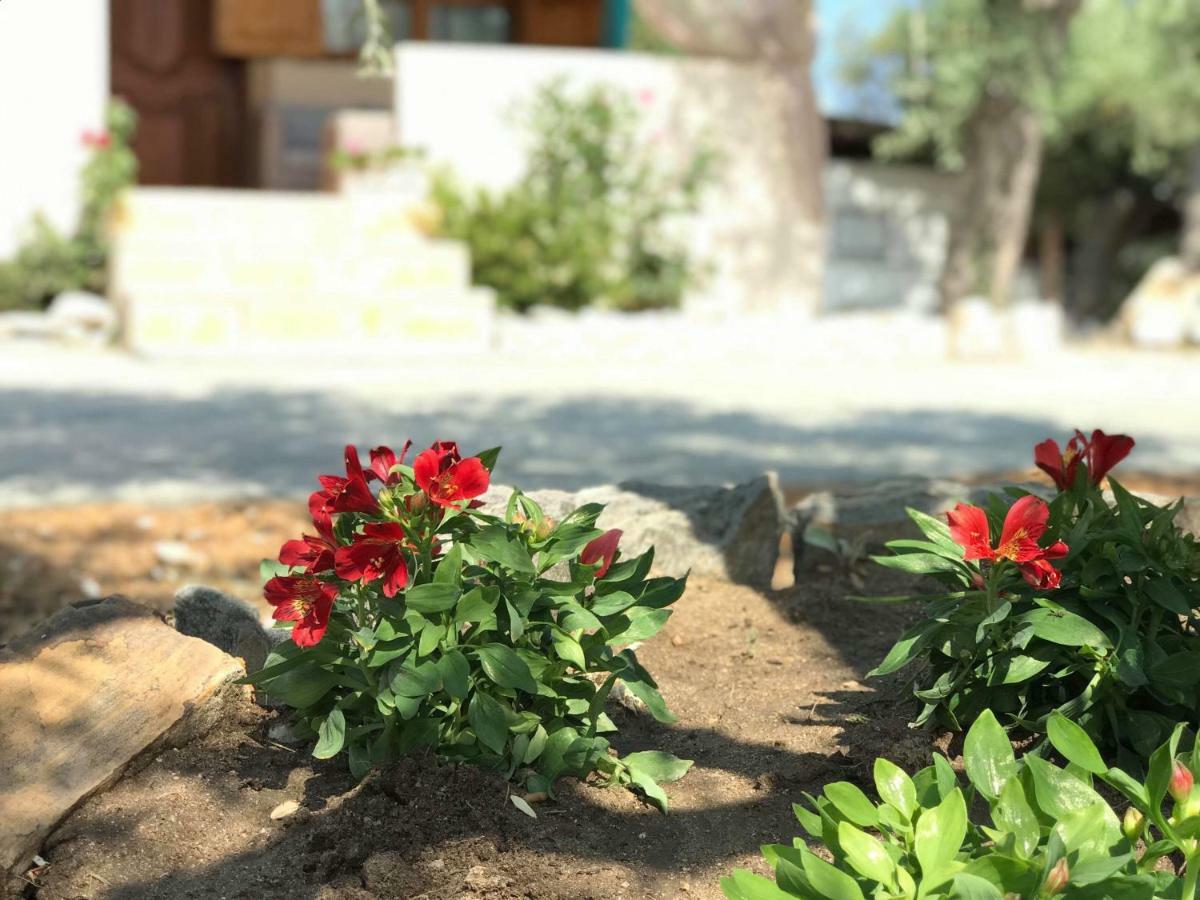 Dream House Villa Alikí Dış mekan fotoğraf